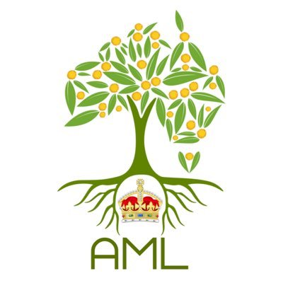 Austmonarchist's profile picture. The official account of the Australian Monarchist League. Advocating for our Australian system of Constitutional Monarchy. 🇦🇺 #VoteNoRepublic