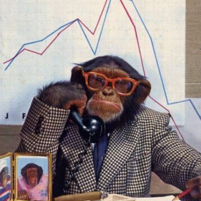 thewoomky's profile picture. Yes, I'm new here. 
NFA.
Not looking for followers, I only give my opinions here.