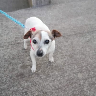 fhinne13827's profile picture. 