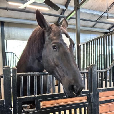 bethelrit's profile picture. 