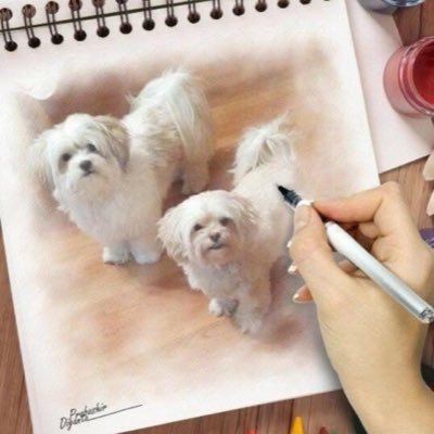 DicksRed's profile picture. 