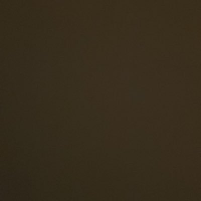 pstellaq's profile picture. 転生先→@neko_tensyoku