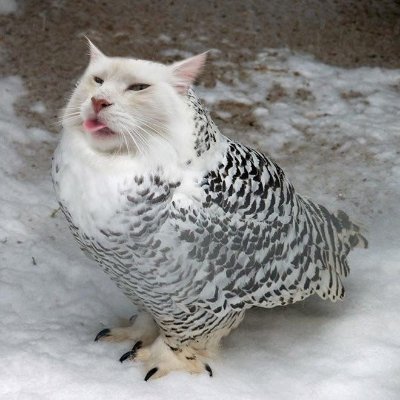 pilotful's profile picture. 19
⠀⠀⠀⢸⣦⡀⠀⠀⠀⠀⢀⡄
⠀⠀⠀⢸⣏⠻⣶⣤⡶⢾⡿⠁
⠀⠀⣀⣼⠷⠀⠀⠁⢀⣿⠃⠀
⠴⣾⣯⣅⣀⠀⠀⠀⠈⢻⣦⡀
⠀⠀⠀⠉⢻⡇⣤⣾⣿⣷⣿⣿
⠀⠀⠀⠀⠸⣿⡿⠏⠀⠀⠀⠀
⠀⠀⠀⠀⠀⠟⠁⠀⠀⠀⠀⠀⠉