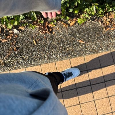 nekonosiesuta's profile picture. 優しくされたら懐きます🐈⸒⸒⸒⸒