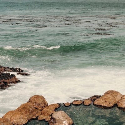 lumosmaxima77's profile picture. 