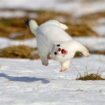 oosnowyy's profile picture. Find me on all platforms at: oosnowyy