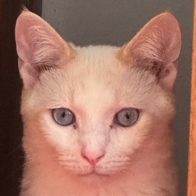 Sara86256186's profile picture. 