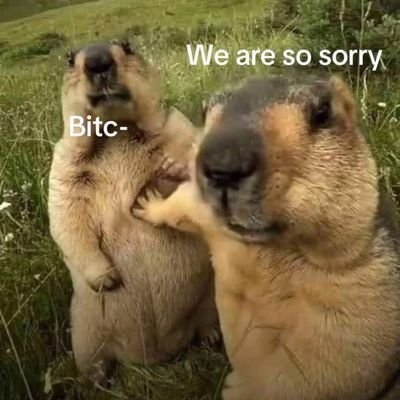 txtfrombibil2's profile picture. akun baru, @txtfrombibil ke hack ga bisa direcover || Full-time Story Teller