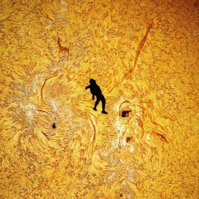 cult_coin's profile picture. Up Only