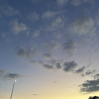 _navitimer's profile picture. 