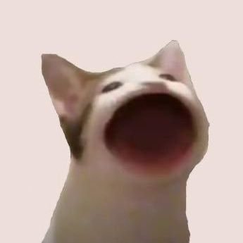 POPCATHelp's profile picture. SPOPCAT - The cat pops