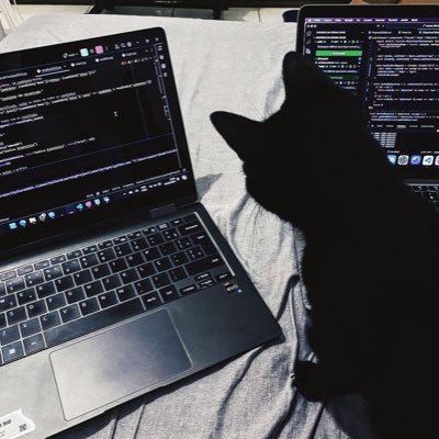 SoullRenovation's profile picture. Tech student to be