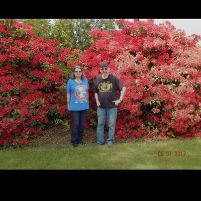 mary83631's profile picture. I love myself