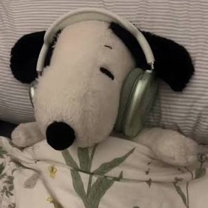 kotatheartist's profile picture. cat mom and trinket collector