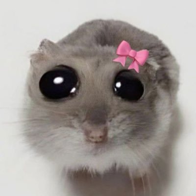 rimaacore's profile picture. التوت الذي لا يموت