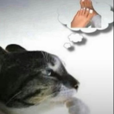 tacklinhas's profile picture. oii