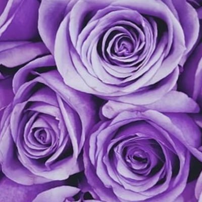 melanimaheswar1's profile picture. optimize for knowledge (opinions are my own) 🇨🇦 technical writer @DigitalOcean