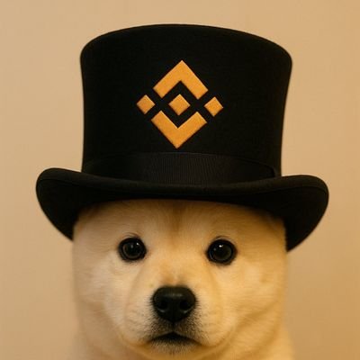 AhmefC94773's profile picture. Hold pup only