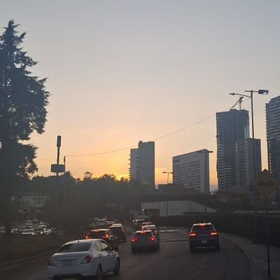 paulinamc55555's profile picture. 