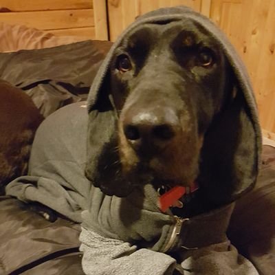 jjjgambz's profile picture. 