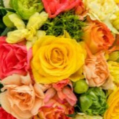 hanam166678's profile picture. 気がついたらアカウント乗っ取られてました😭 初の推し活でINIのデビューからずっと応援してます！ かなりの大人ミニです！ 柾哉くん💛推し                                         一からやり直しなので無言フォロー失礼します。無言フォロー大歓迎です。