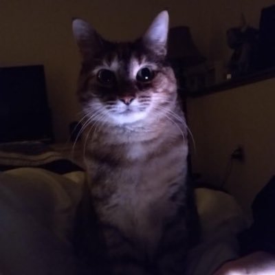 liquidmaku's profile picture. 