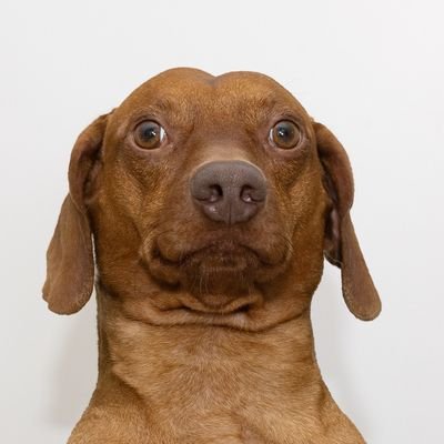 Henriquerr34's profile picture. Henrique