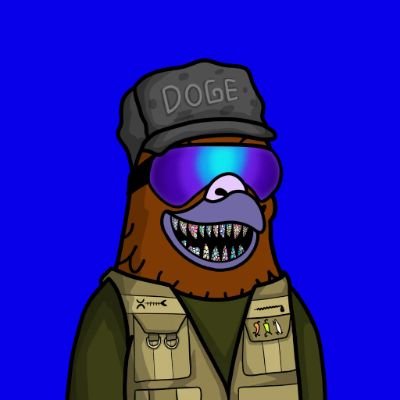 ChickenDeez's profile picture. XRP is the 🗝 to it all......