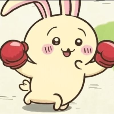 rizin95's profile picture. MMA
垢乗っ取られたので作り直し