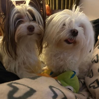 RealRoussel33's profile picture. Just an American that's for justice for all Americans that have been taken advantage of by their government.  My hardest loss is my Mom. 2023. Love ur Moms! ❤️