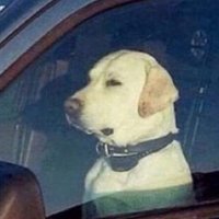 Kelly Price (@kellypricedolla) 's Twitter Profile Photo