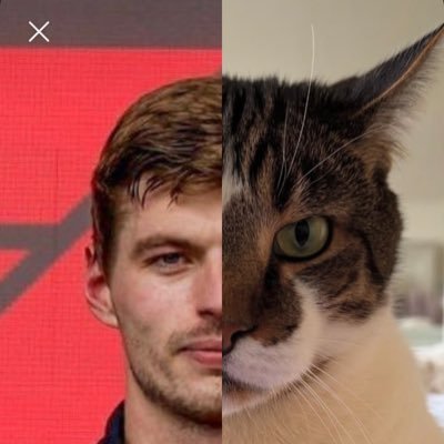 verstrapon23's profile picture. mv1 & aa23! 22! she/her! ver5tappen truther!