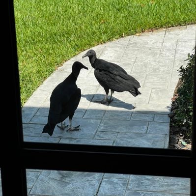 jkwnfdbv97's profile picture. $HYPE