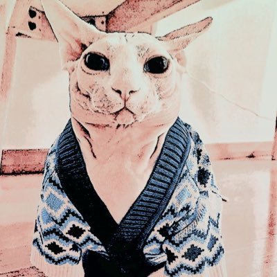 ᭡ 𝕽𝙸𝙲𝙷𝙸𝙴𝕵𝚁 !