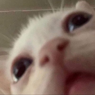 blackbydior's profile picture. ⋅˚₊‧ 𐙚 ‧₊˚ ⋅ don’t bring me to tears when i just did my makeup so nice ♡