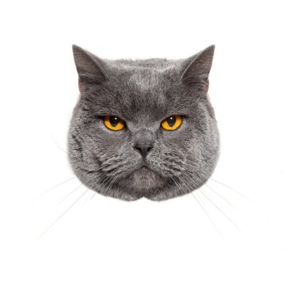 tacolimbo's profile picture. trenches and other trifles