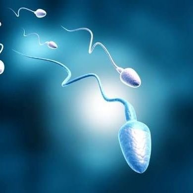 sunsex_O1's profile picture. Gay content only ♂️♂️