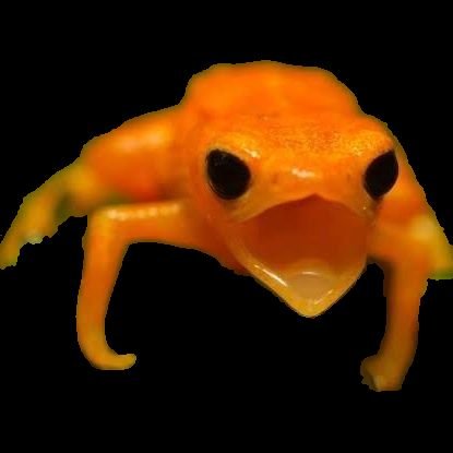 perparohunikk's profile picture. 2004

AAAAAAOAOAOAOAOAOAA AAAAAAAAAAA
https://t.co/VBw7YP3nb8