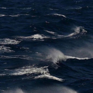 ki_ll's profile picture. ادعوا لأبوي واختي بالرحمه🤍