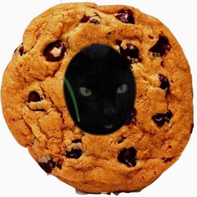 kittehdaboi's profile picture. This is @kittehboi's twitjail account.
