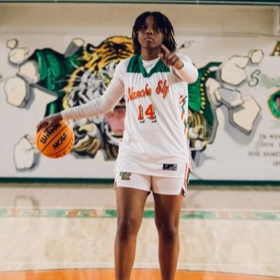 iceballer14's profile picture. Blanche Ely Tigers | Class of 2026 | Small Forward 🧡💚🐅