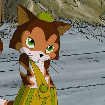 Fin_Katzenmaier's profile picture. 