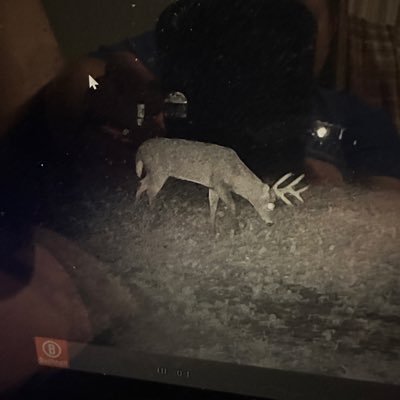 richwind28's profile picture. hunting