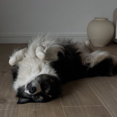 pupdisorder's profile picture. 16 / recovered (sh & ed) / ΘΔ