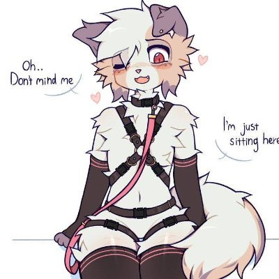 femboirikito7u7's profile picture. 