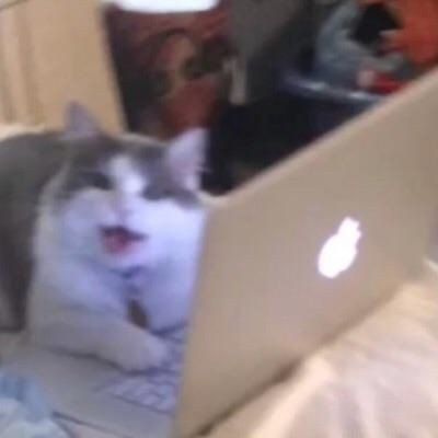 mathie58's profile picture. Talent & network at Kenetic Capital, connecting researchers, analysts and operators with early crypto narratives and ecosystems