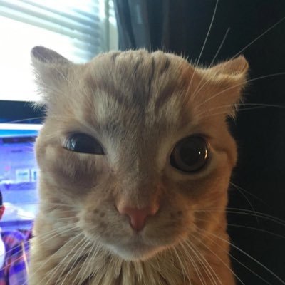 bails_priv1's profile picture. 21•mdni•nsfw•dms open•