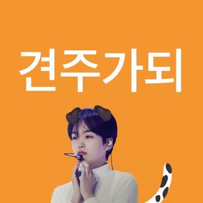 kswxkyh's profile picture. 