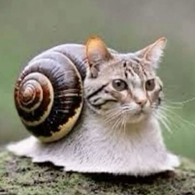 jube_ow's profile picture. blehhh