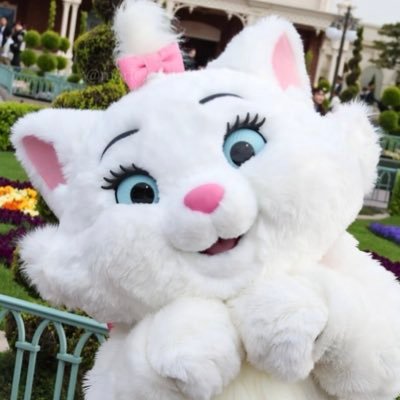 marie_222_chan's profile picture. ラッコだいすき(:ᘌꇤ⁐ꃳ 三